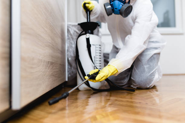 Best Bed Bug Extermination  in Ocean Acres, NJ