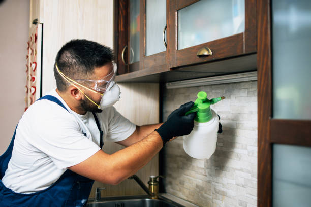 Best Affordable Pest Control Services  in Ocean Acres, NJ