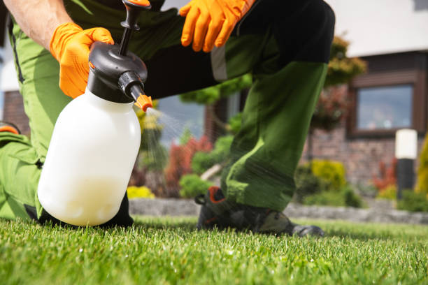 Best Pest Prevention Services  in Ocean Acres, NJ
