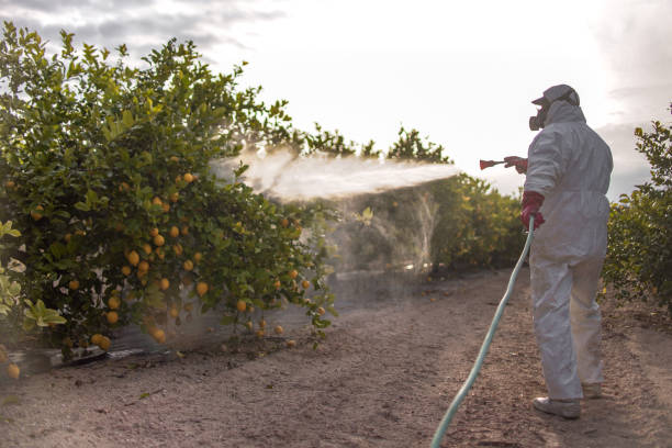 Best Pest Inspection Near Me  in Ocean Acres, NJ